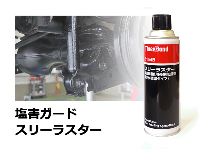 スリーボンド スリーラスター 10缶 （塩害ガード施工（補修用防錆剤 